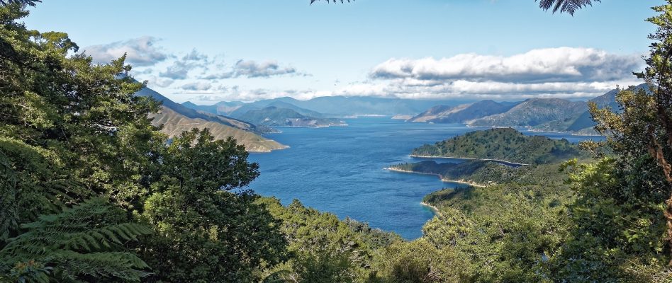 New Zealand lake and mountains on a sunny day